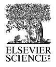 Elsevier Science Logo