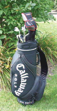 Golf Bag