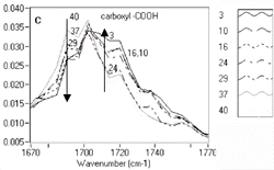 Figure 5c