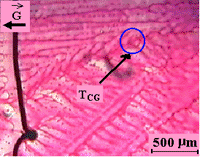 Figure 5b