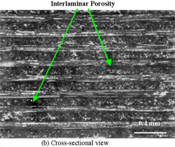 Figure 3b