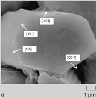 Figure 2c