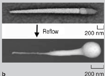 Figure 5b