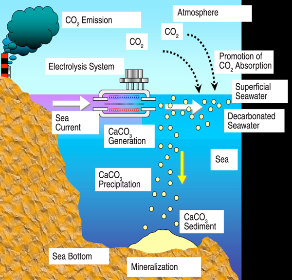 bio inspired materials for