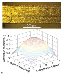 Figure 5a