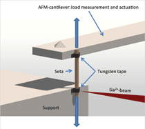 Figure 7a