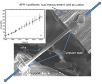 Figure 7b