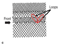 Figure 5a