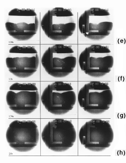 Figure 3e-h