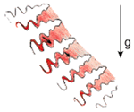 Figure 5b