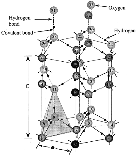 Schulson-9902.fig.1.lg.gif