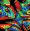 Computational Materials Science