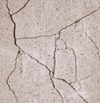 Materials Characterization