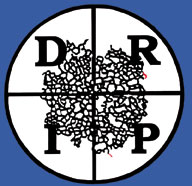 DRIP XIII Logo