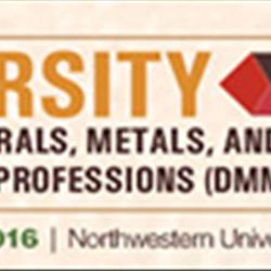 Diversity in the Minerals, Metals, and Materials Professions