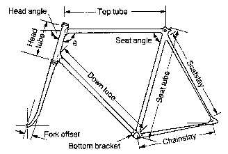 Froes-9702.fig.6.gif