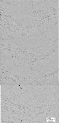 Figure 8a