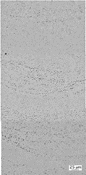 Figure 8b