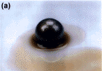 Figure
5a