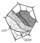Figure 3c